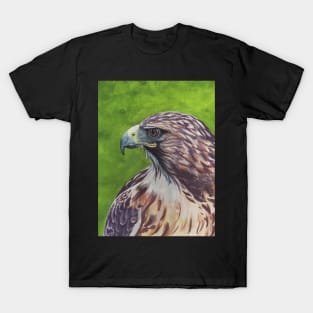 Eagle's Eye T-Shirt